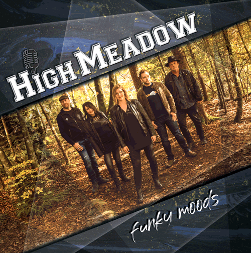 Funky Moods - 1. CD und Album von HIGH MEADOW ab sofort auf CEDE.ch una allen digitalen Plattformen